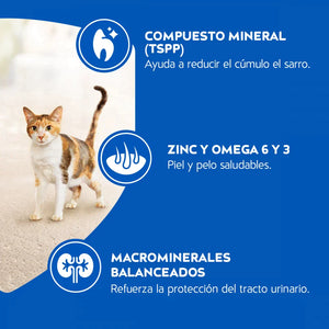 Alimento Cat Chow para Gatos Adulto 8 kg Carne